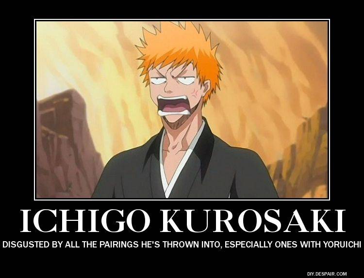 Kurosaki Ichigo Shipping Meme