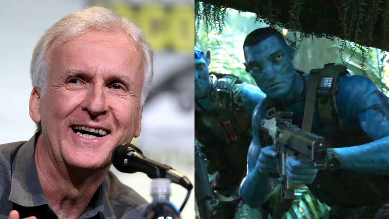 James Cameron Cancelled Avatar Sequel Script