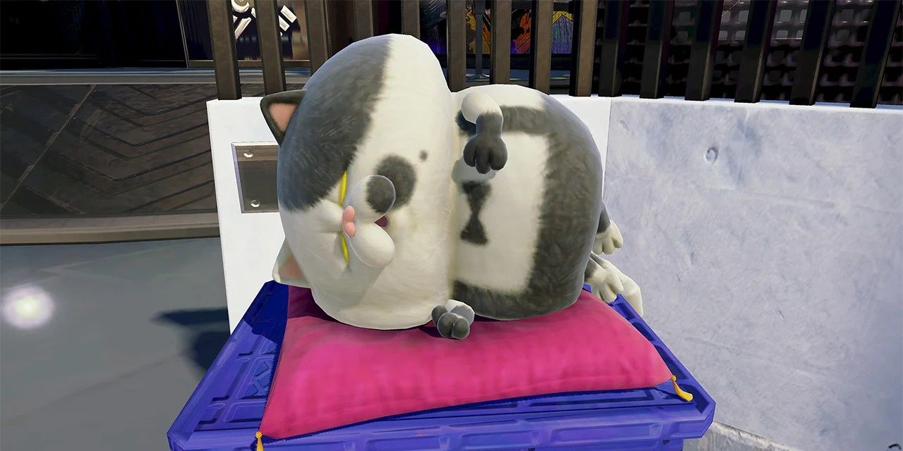 Judd The Cat in Splatoon