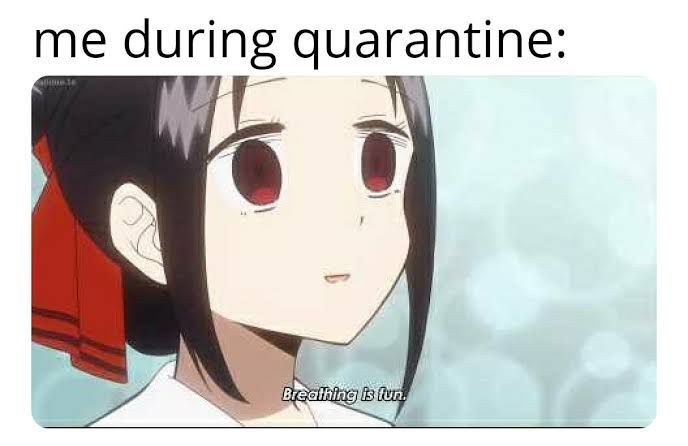 The Best Kaguya Sama Love Is War Memes Kaguya