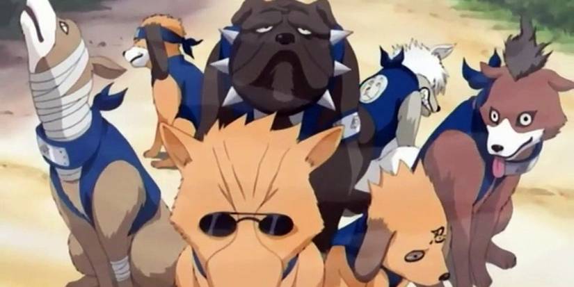 Kakashi's Ninken