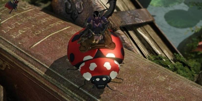 Lost Ark Lady Bug Mount