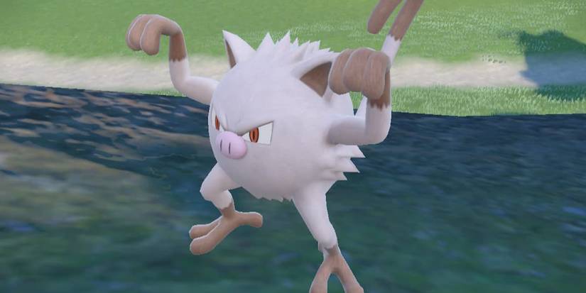 Mankey In Pokemon Scarlet & Violet