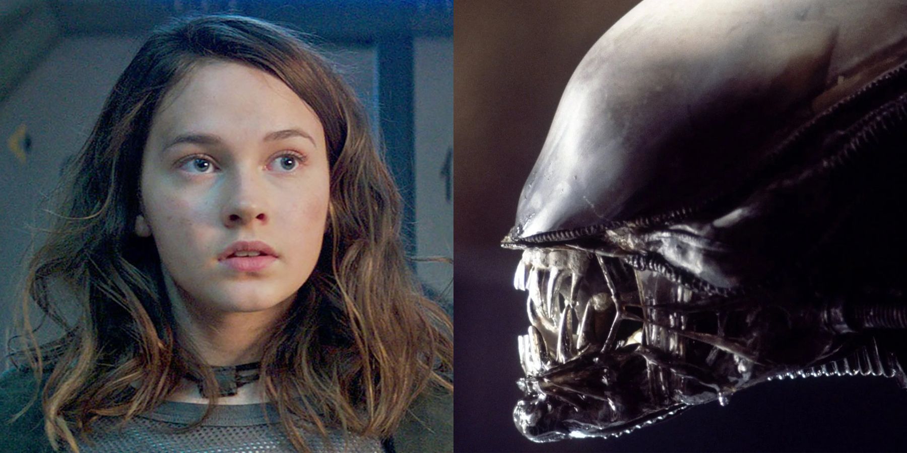 New Alien Movie Finds Its Lead In Pacific Rim Uprising's Cailee Spaeny