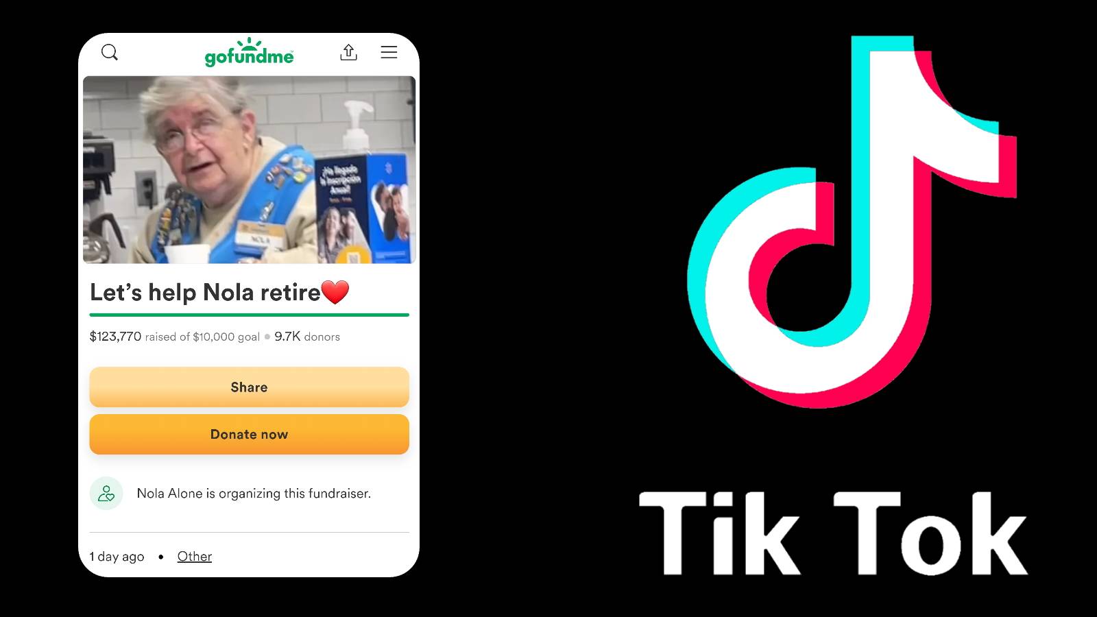 A GoFundMe for Nola on TikTok