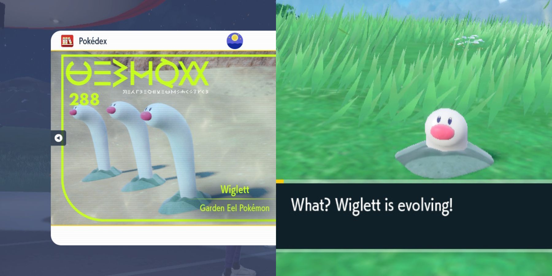 Wiglett -  Pokédex