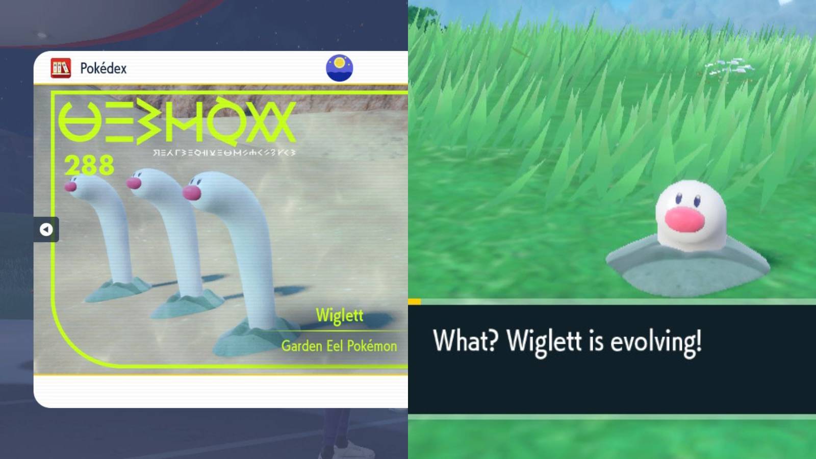 Pokemon Scarlet & Violet Wiglett