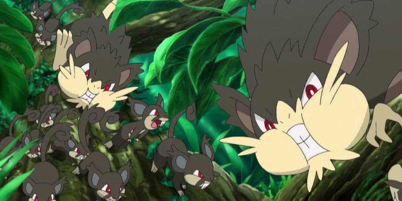 Pokemon GO: Best Moveset For Alolan Raticate