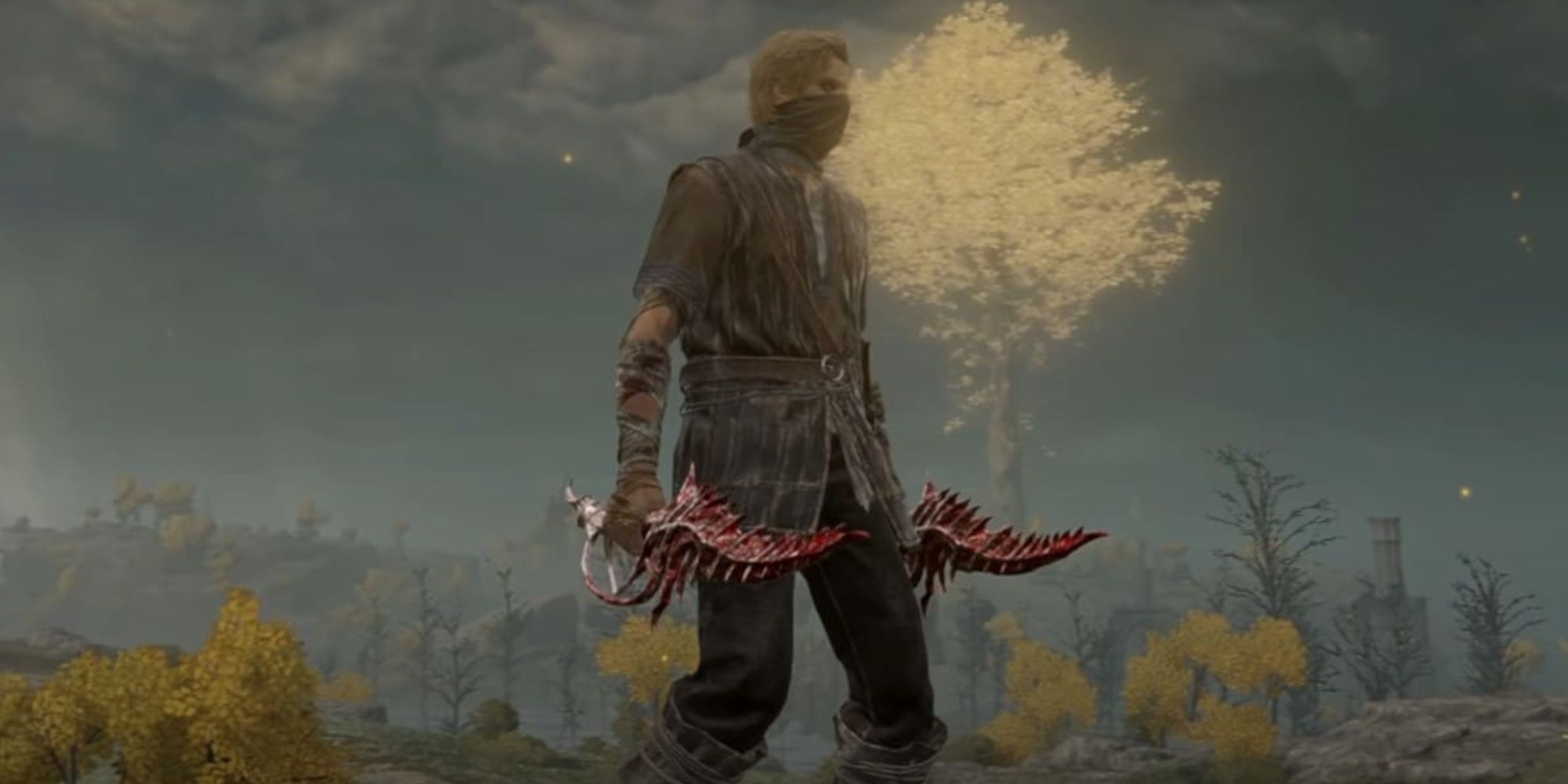 A player holding two Reduvia daggers in Elden Ring