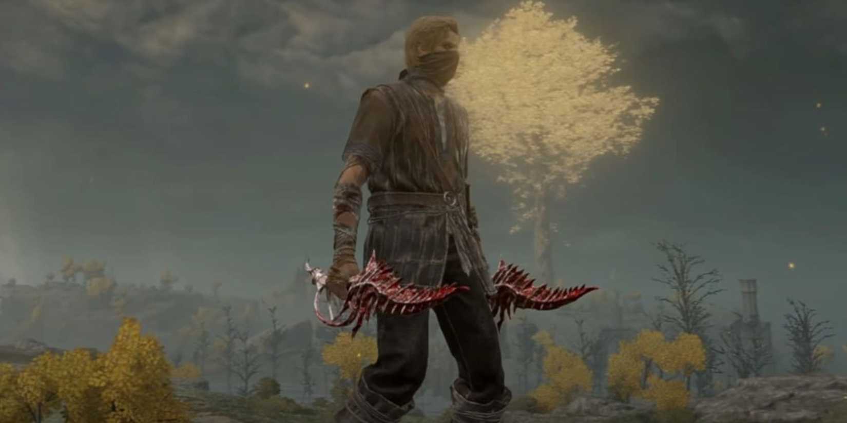 A player holding two Reduvia daggers in Elden Ring