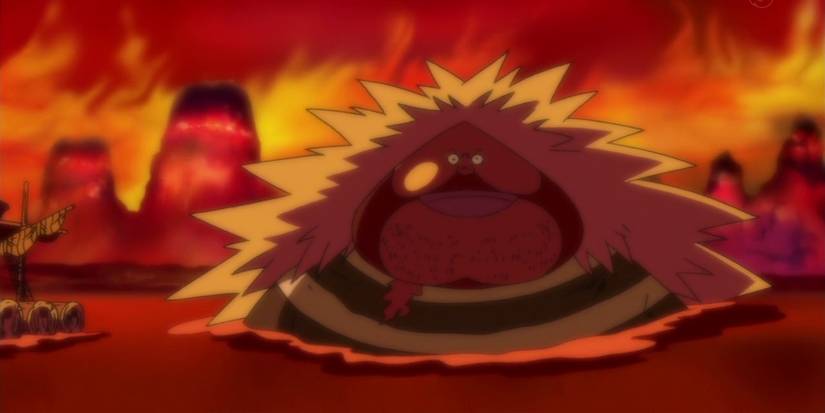 San Juan Wolf standing in the sea