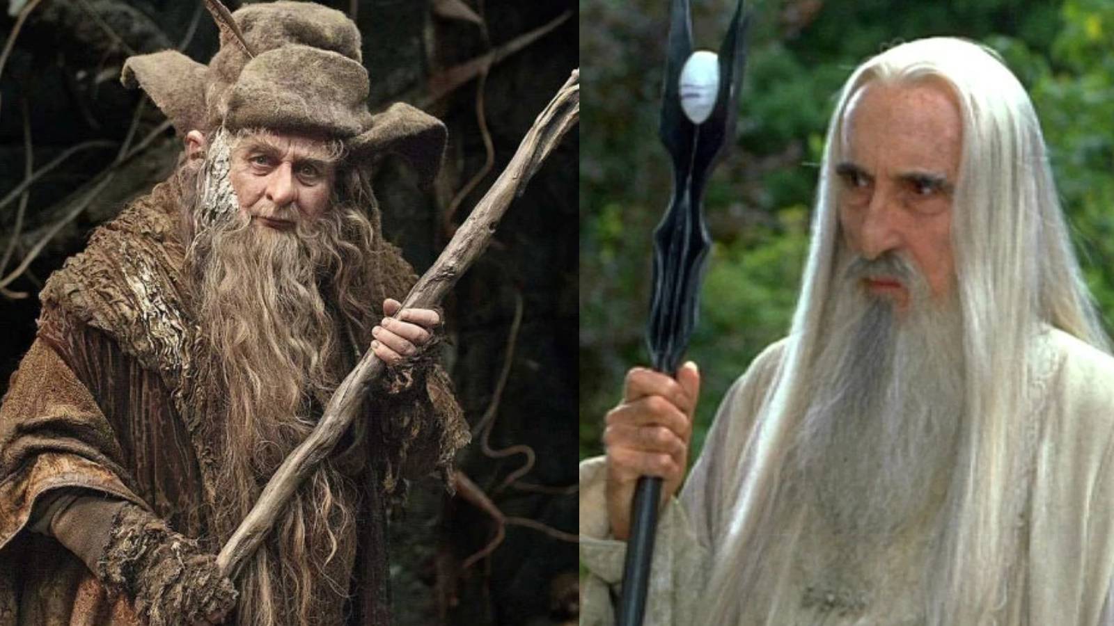 Saruman and Radagast