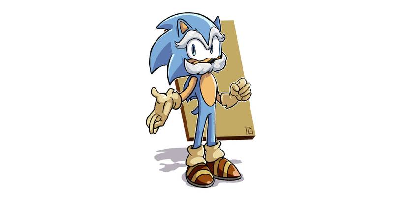 Sonic The Hedgehog Sir Charles Chuck Hedgehog