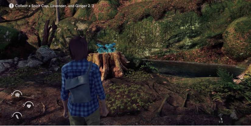 The Chant - Collect ingredients for tea - Player finds Spirit Caps in the forest