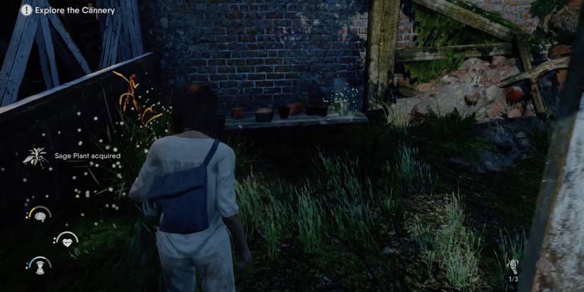 The Chant - Don’t miss out on ingredients - Player finds Sage Plant on a remote island