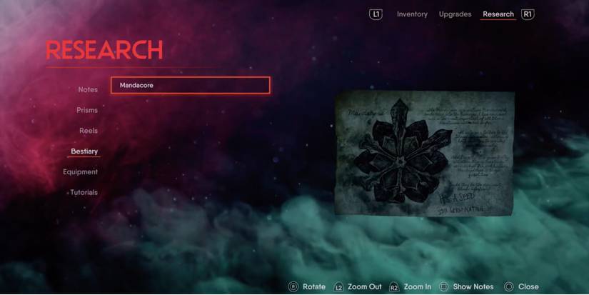 The Chant - Gather Research Notes - Player goes through the different documents found on the remote island