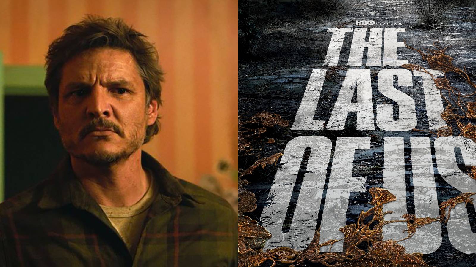 The Last of Us Release Date HBO