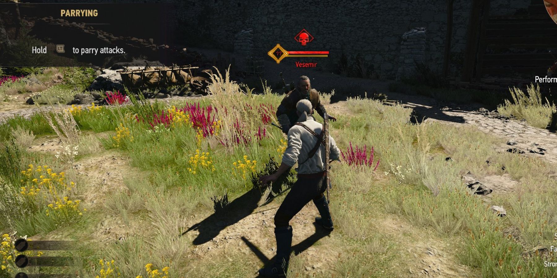 The Witcher 3 Geralt parry training