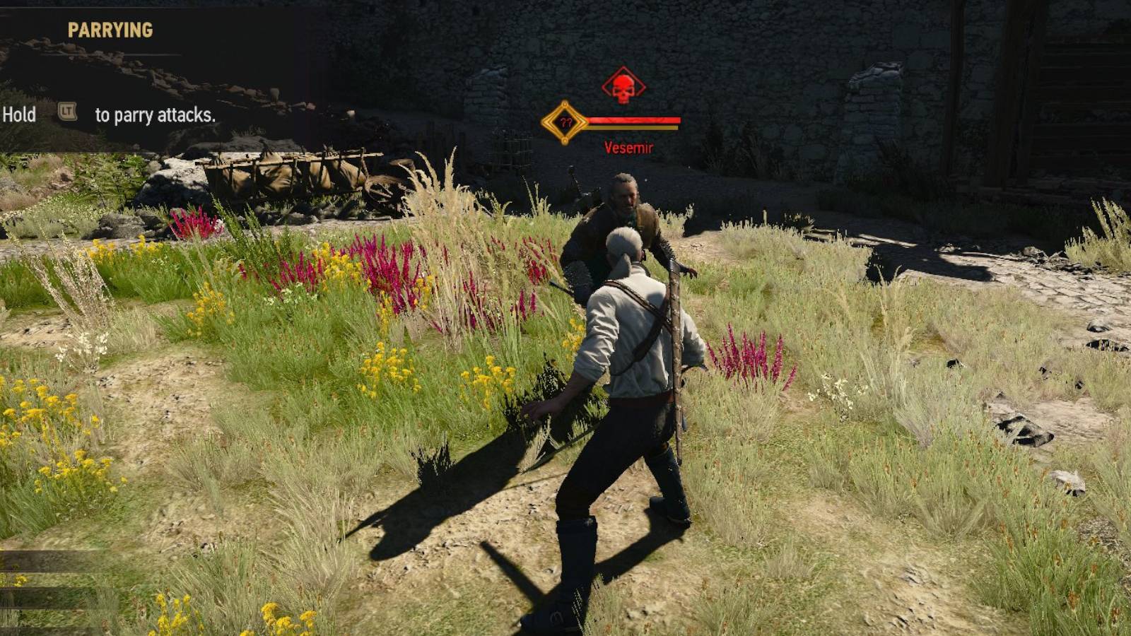 The Witcher 3 Geralt parry training