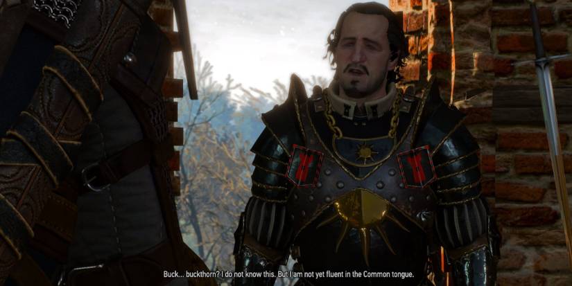 The Witcher 3 Nilgardian Captain