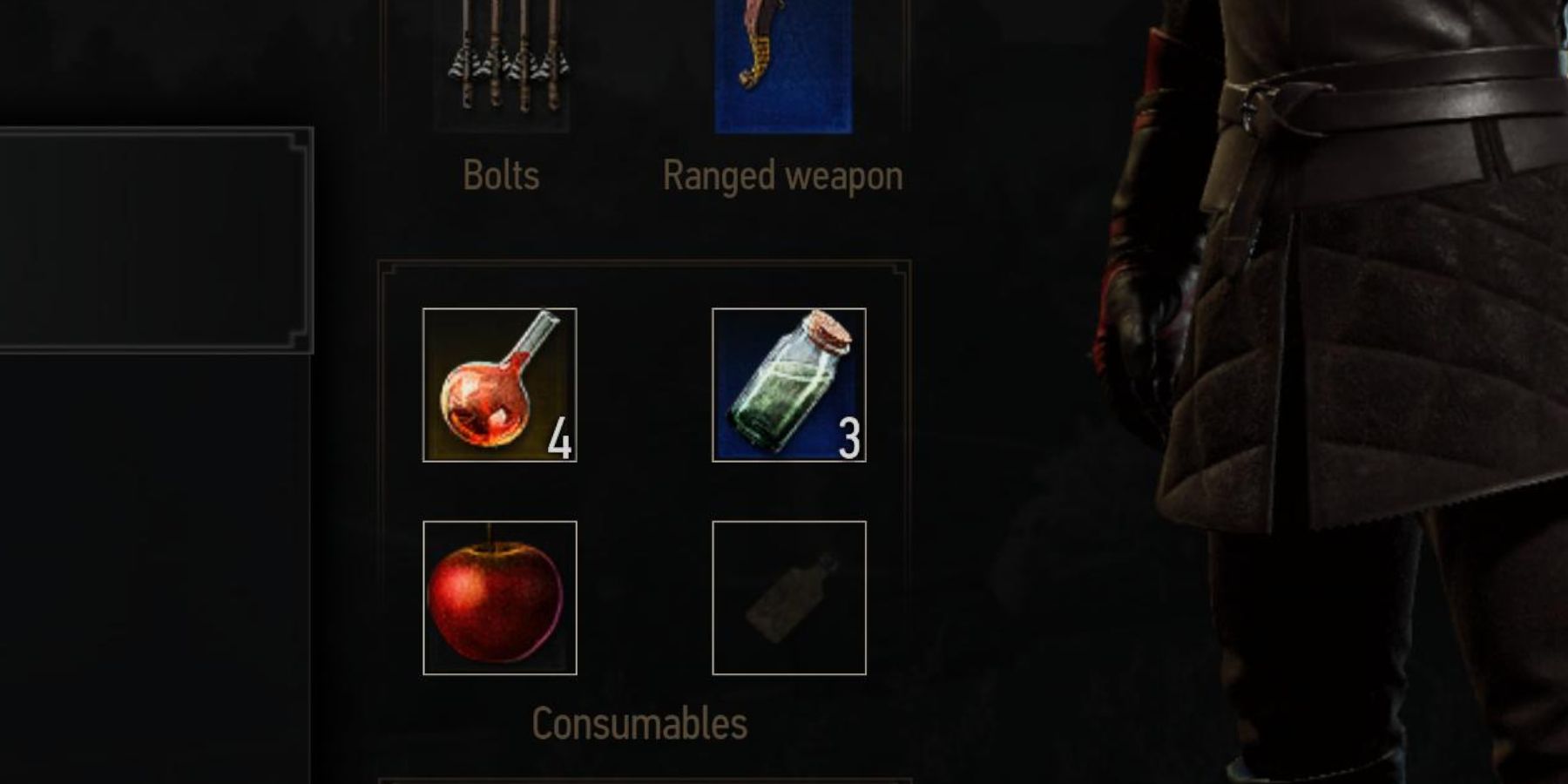 The Witcher 3 consumables slots