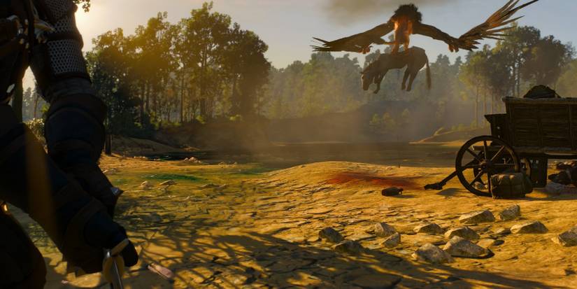 The Witcher 3 first enocunter with the Griffin