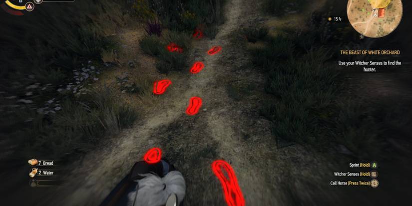 The Witcher 3 tracking the Hunter