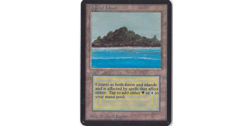 Rarest Magic: The Gathering Cards & Their Prices