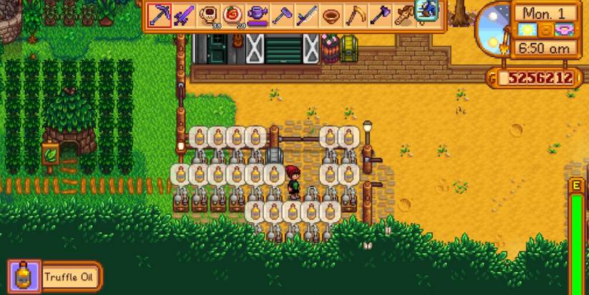 Truffle Oil Stardew Valley