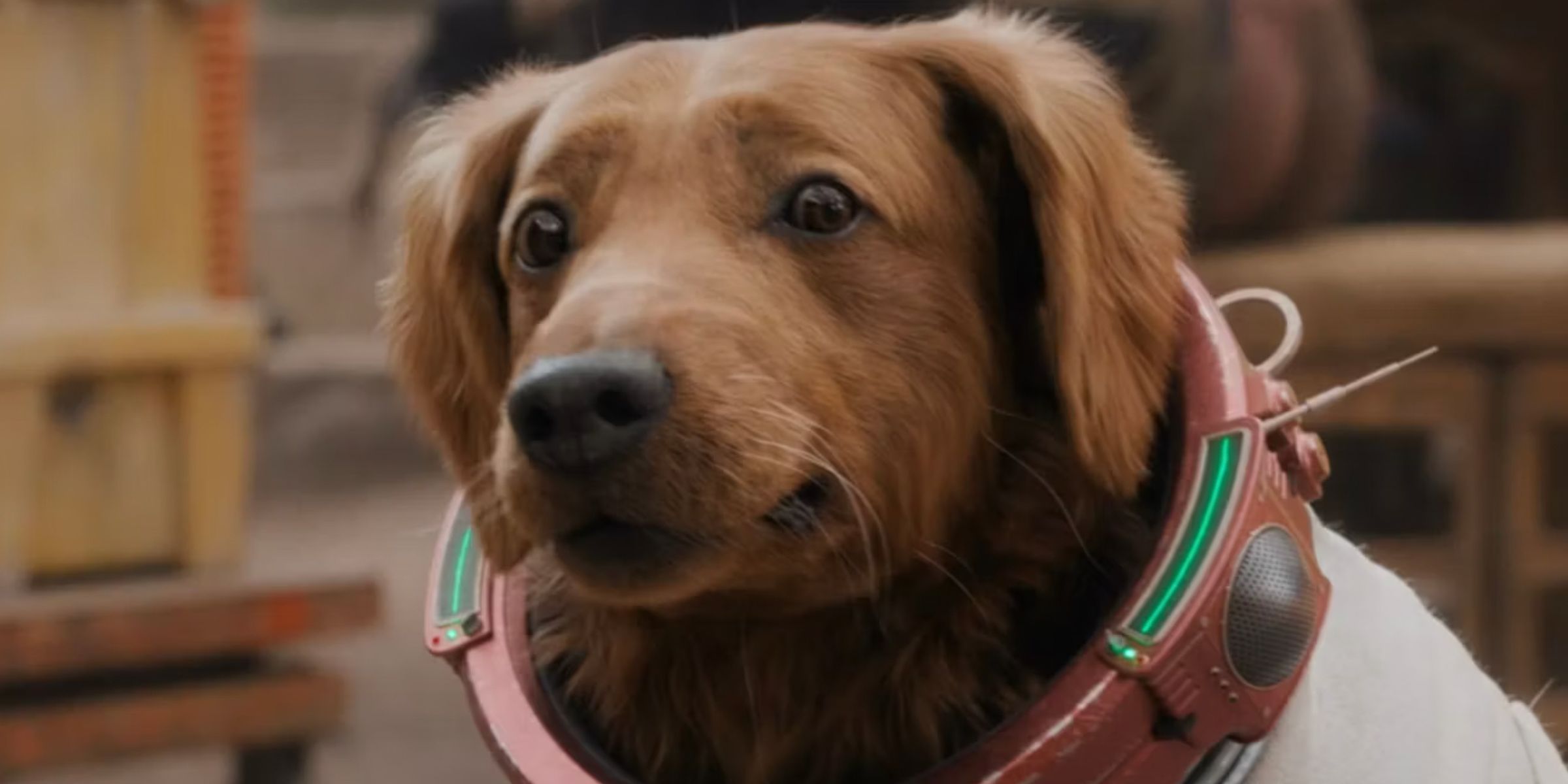 A closeup of Cosmo the SpaceDog in the Guardians of the Galaxy Holiday Special