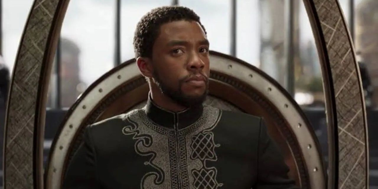 black-panther t'challa