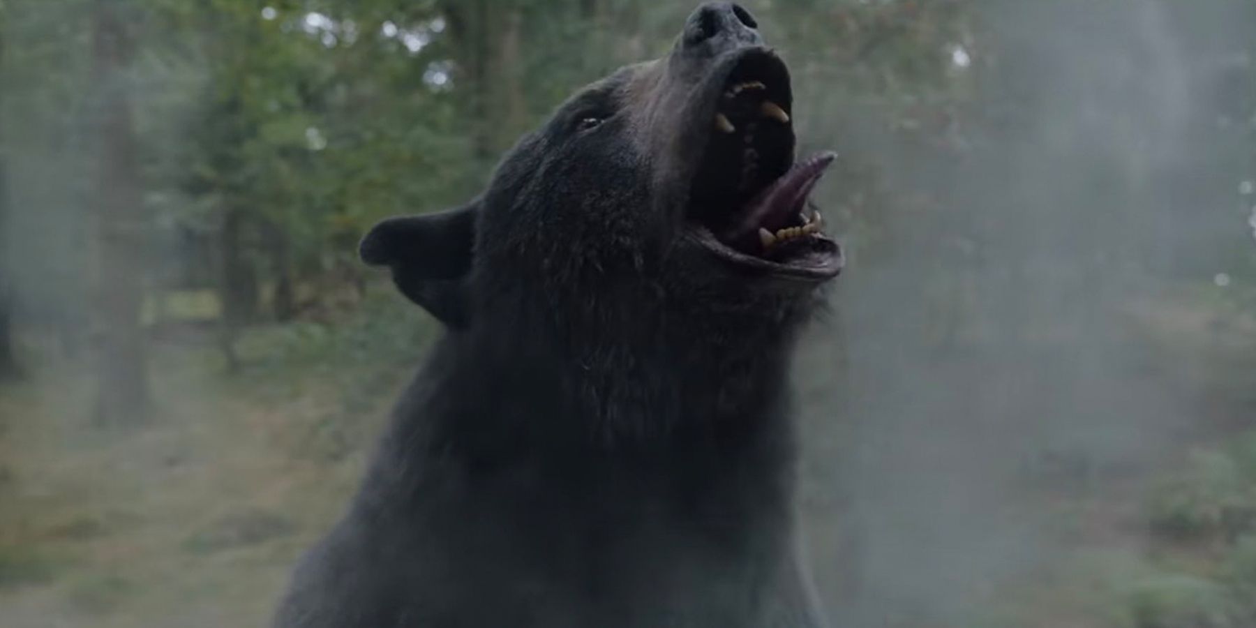 Cocaine Bear Trailer