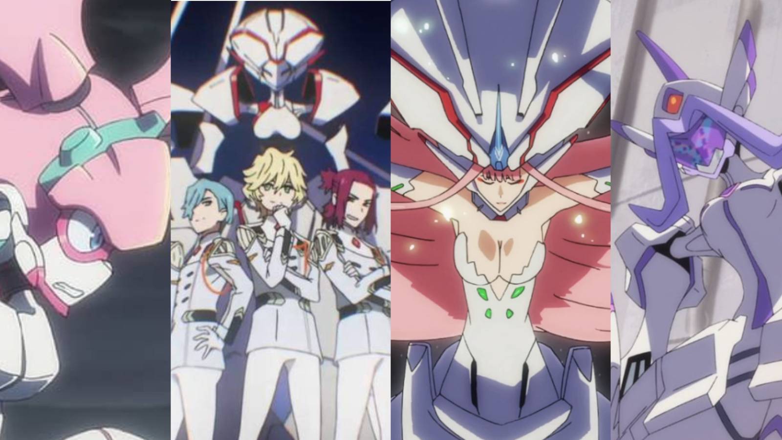 9 Model Argentea Strelizia Delphinium