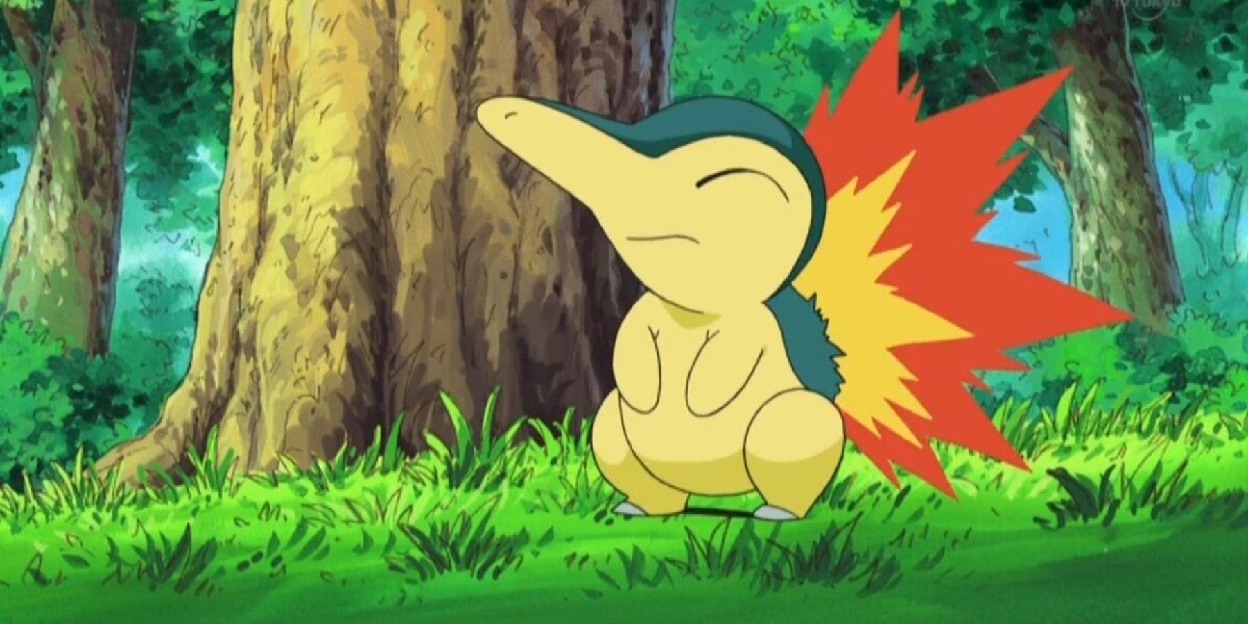 cyndaquil-grass-pokemon