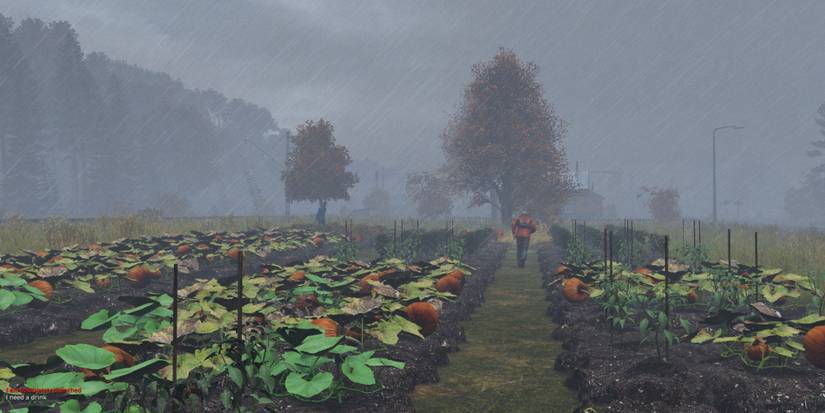 dayz farm
