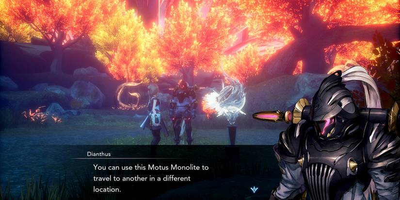 dianthus explaining motus monolite in harvestella