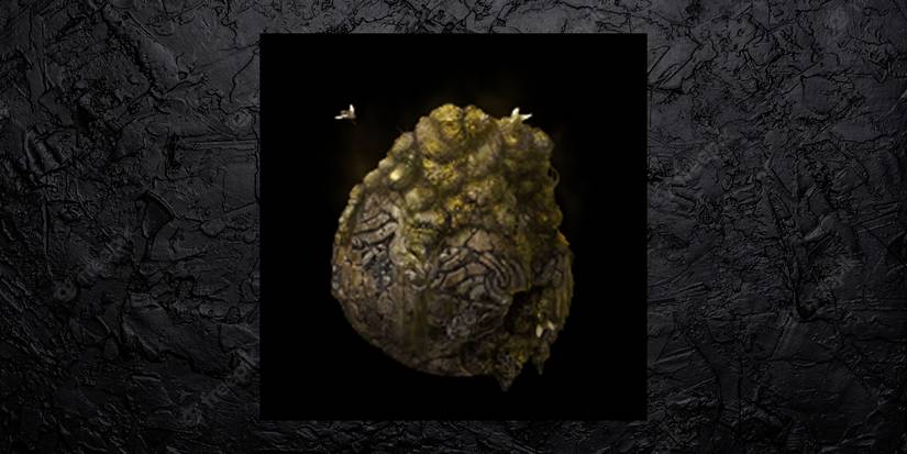 Elden Ring Poison Weapons Fetid Pot