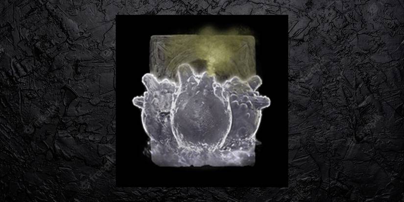 Elden Ring Poison Weapons Land Squirt Ashes