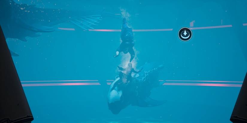 fran saves anu from the shark tank