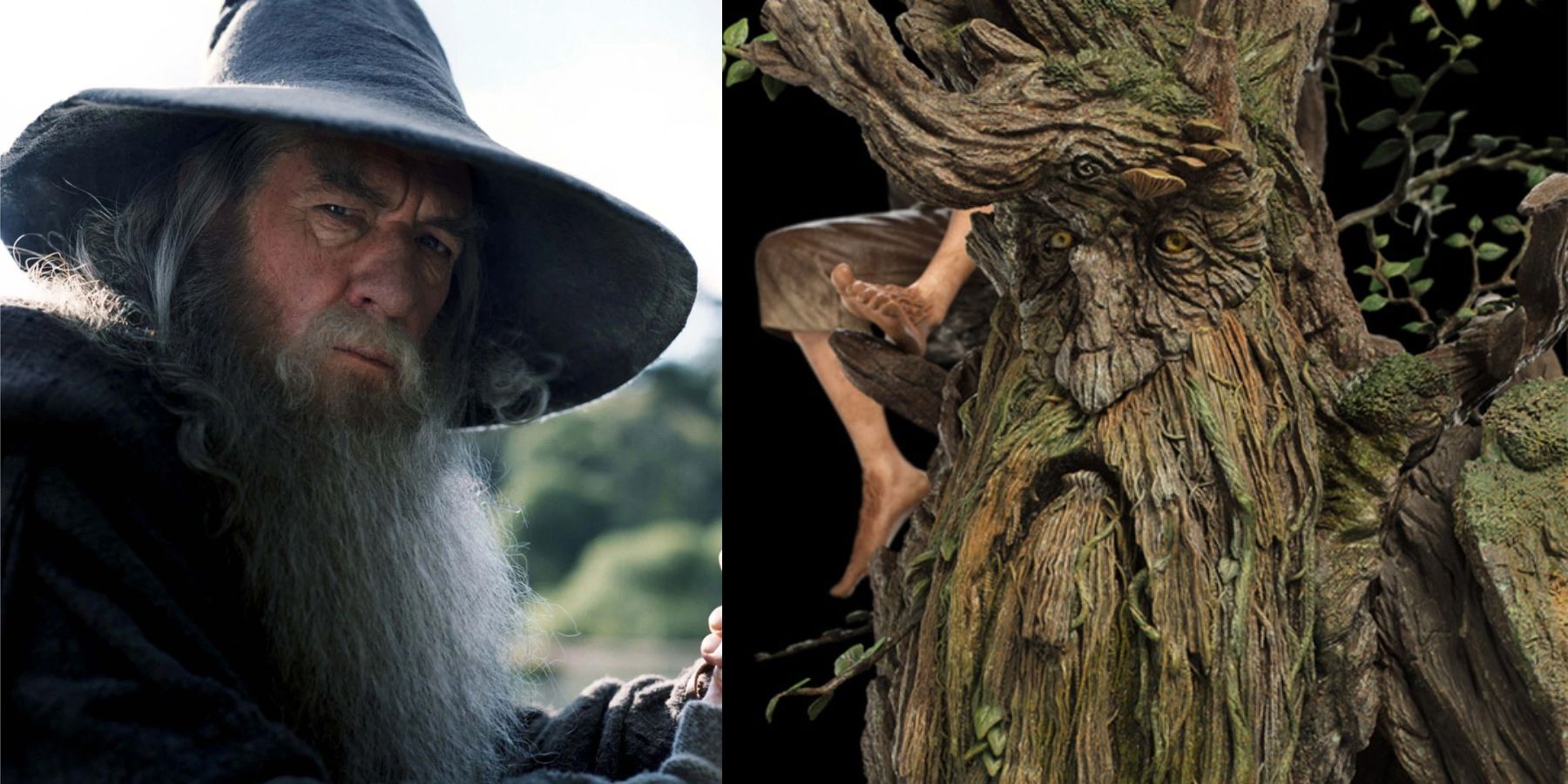 Gandalf and treebeard
