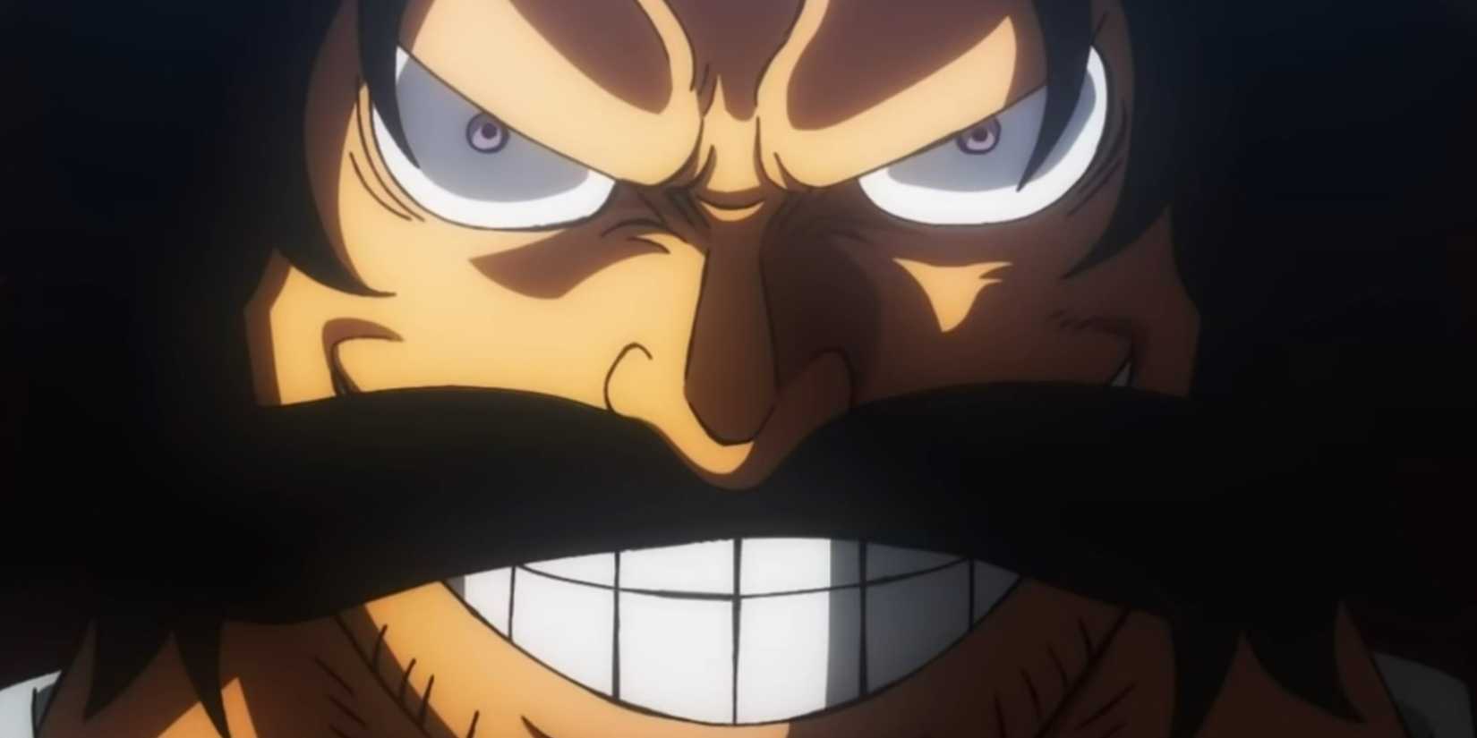 One Piece: Characters Who Need A Novel Adaptation