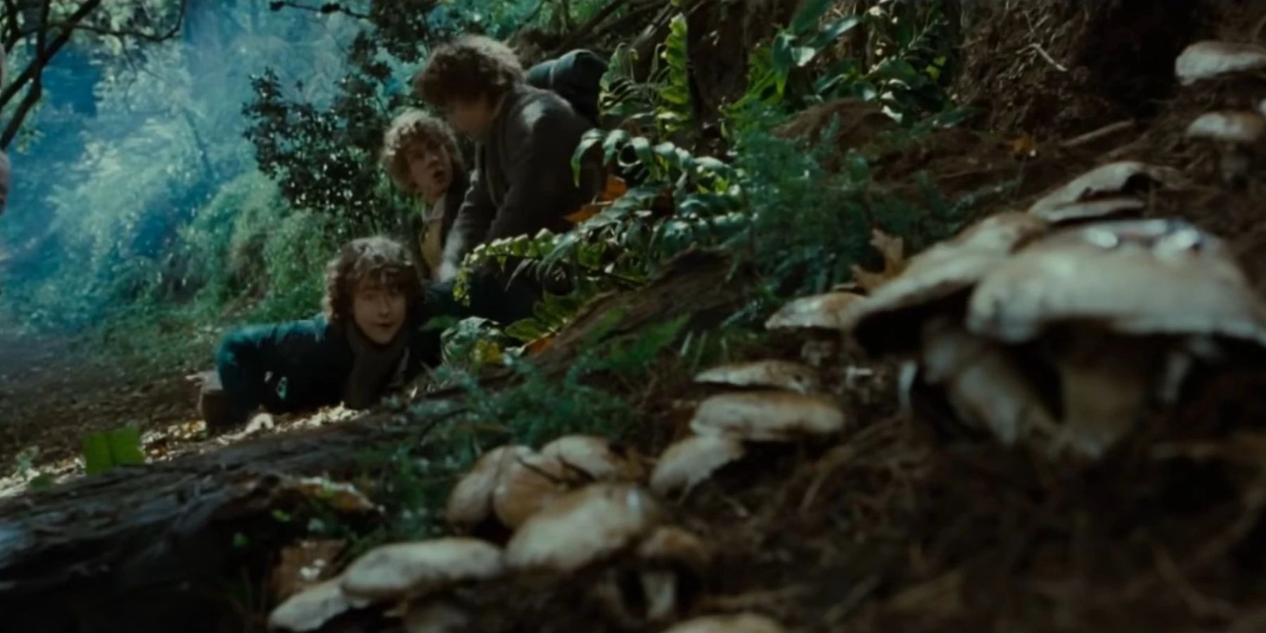hobbits spot the mushrooms