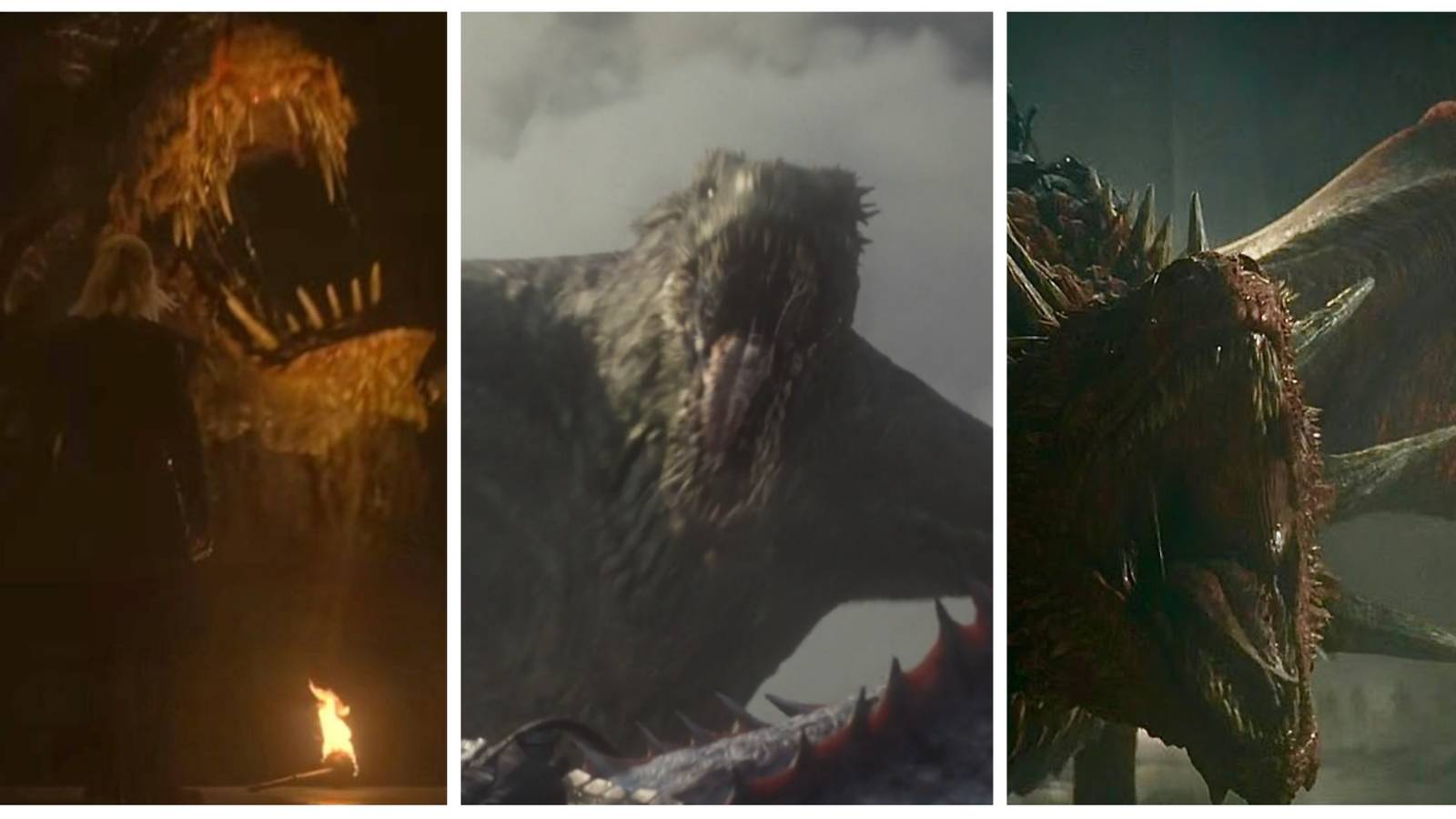 vermithor, vhagar and meleys dragons 