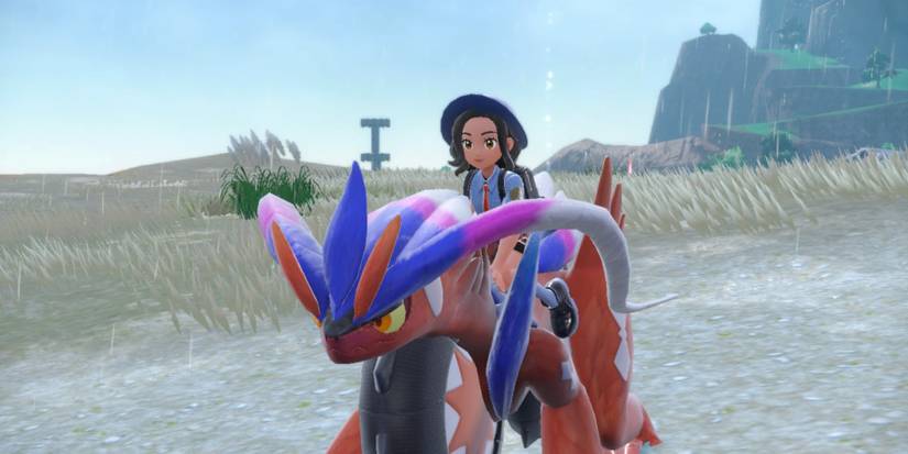 a trainer riding on koraidon