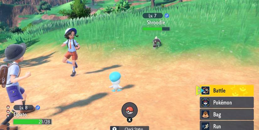 quaxly fighting a wild pokemon