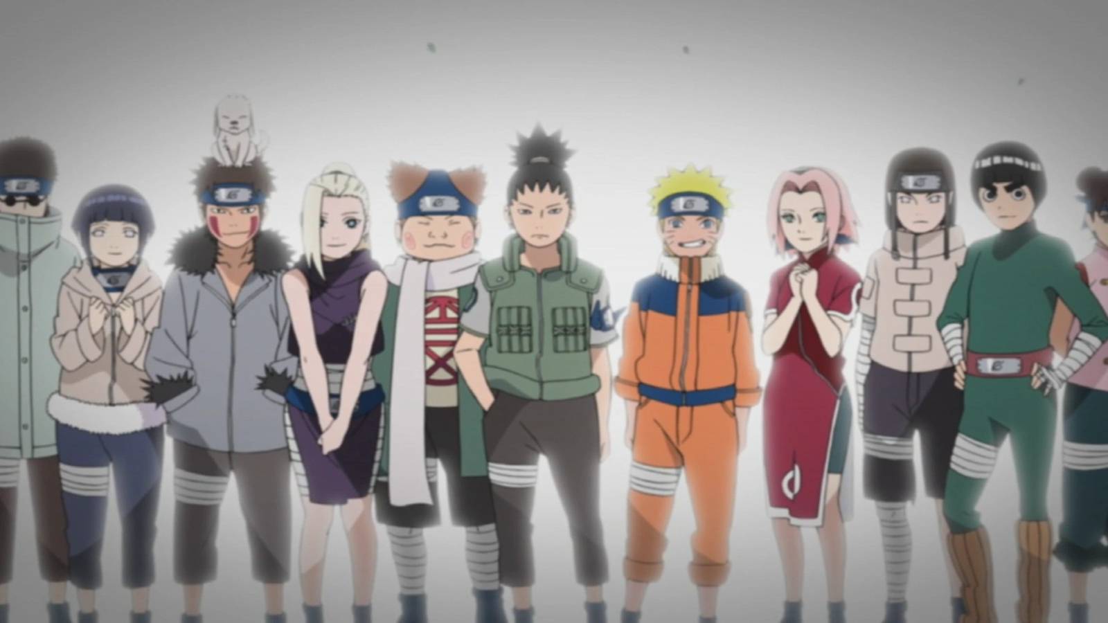 Konoha 11 Naruto series