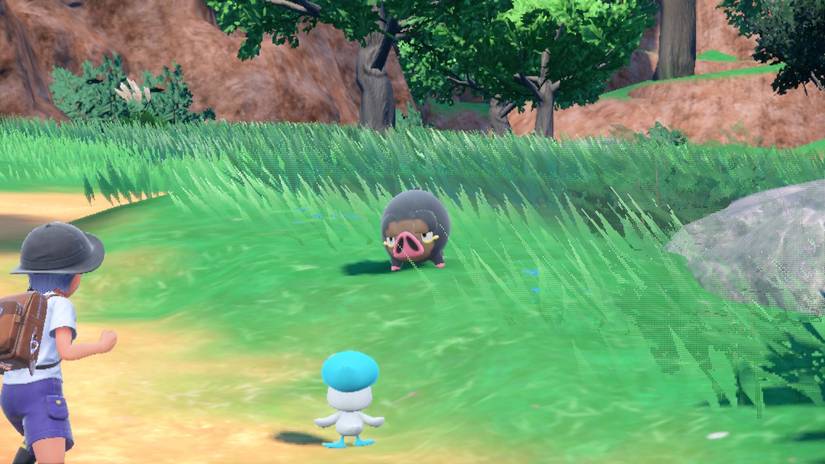 lechonk battle pokemon scarlet violet