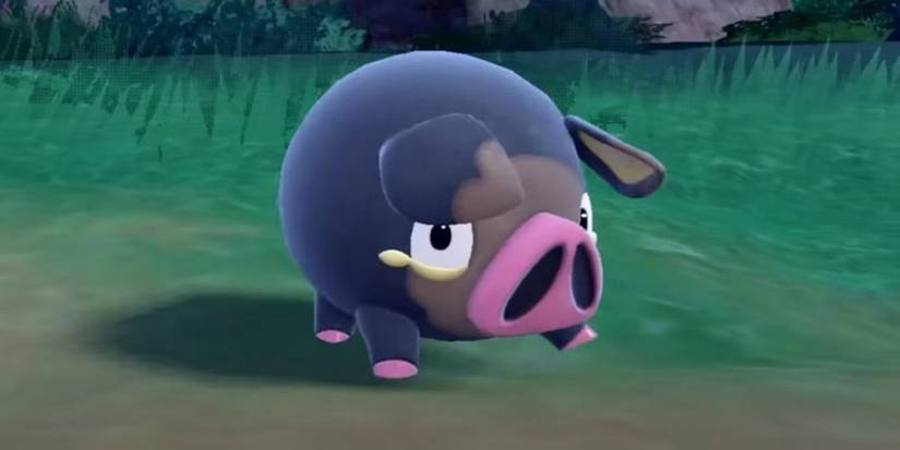 Lechonk from Pokemon Scarlet and Violet