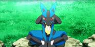 Lucario Anime