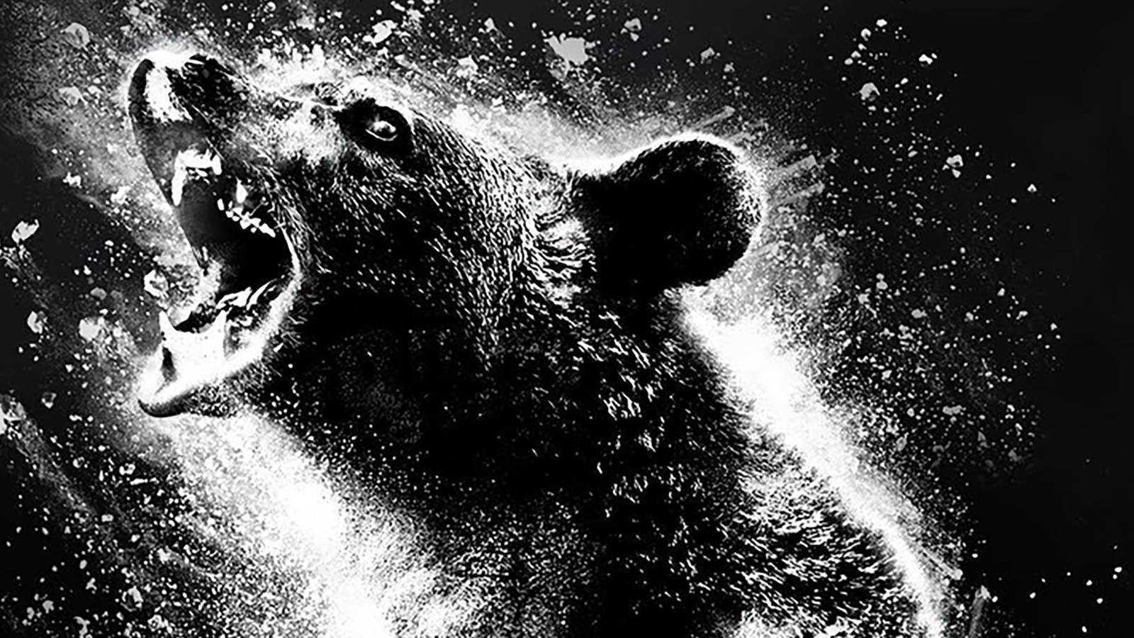 Cocaine Bear Elizabeth Banks Horror Comedy